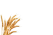 Untitled (8)